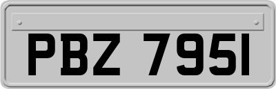 PBZ7951