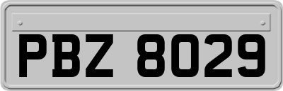 PBZ8029