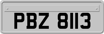 PBZ8113