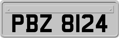 PBZ8124