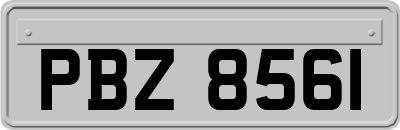 PBZ8561