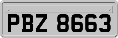 PBZ8663