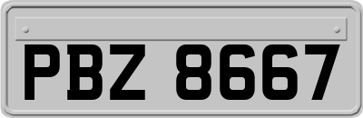 PBZ8667