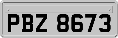 PBZ8673