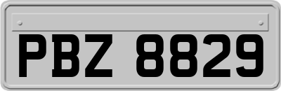 PBZ8829