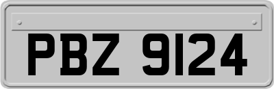 PBZ9124