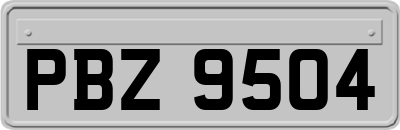 PBZ9504