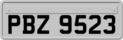 PBZ9523