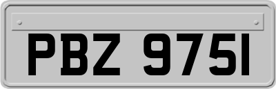 PBZ9751