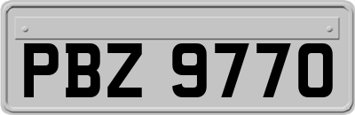 PBZ9770