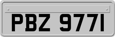 PBZ9771