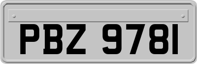 PBZ9781