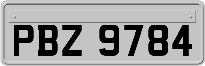 PBZ9784