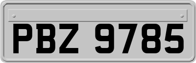 PBZ9785