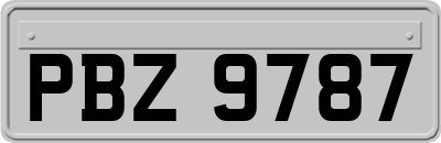 PBZ9787