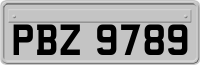 PBZ9789