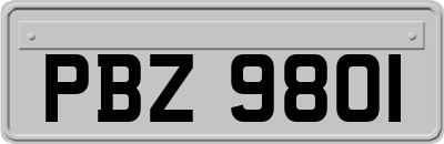 PBZ9801