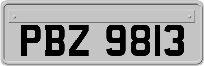 PBZ9813