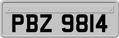 PBZ9814