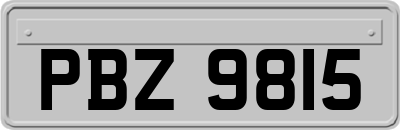 PBZ9815