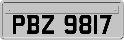 PBZ9817