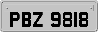 PBZ9818