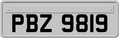 PBZ9819