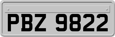 PBZ9822