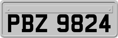 PBZ9824