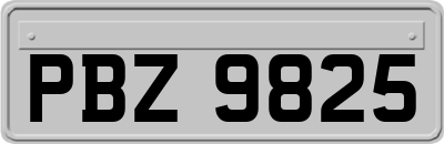 PBZ9825