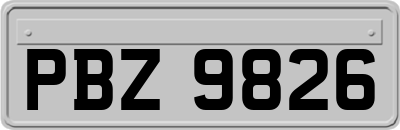 PBZ9826