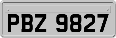 PBZ9827