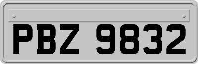 PBZ9832