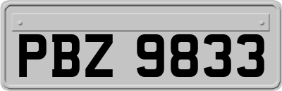 PBZ9833