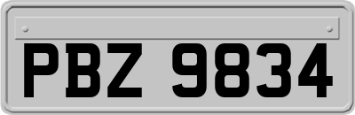 PBZ9834