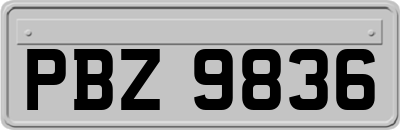 PBZ9836