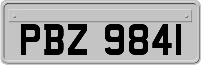 PBZ9841