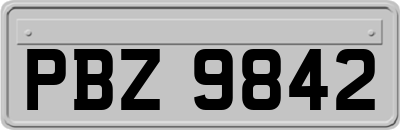 PBZ9842