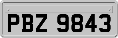 PBZ9843