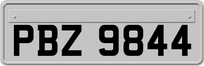 PBZ9844