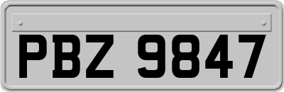 PBZ9847