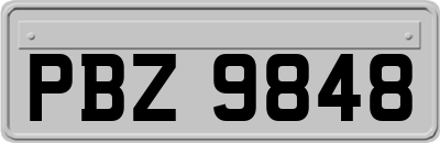 PBZ9848