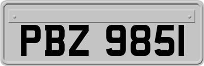 PBZ9851