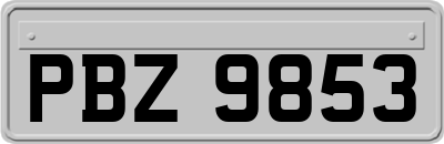 PBZ9853