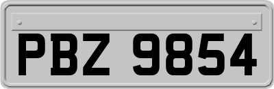 PBZ9854