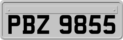 PBZ9855