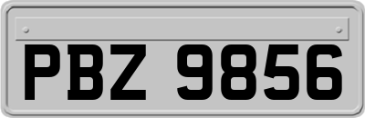 PBZ9856