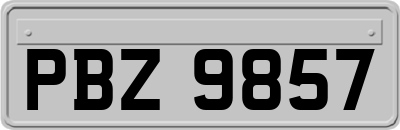 PBZ9857