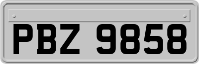 PBZ9858