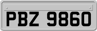 PBZ9860